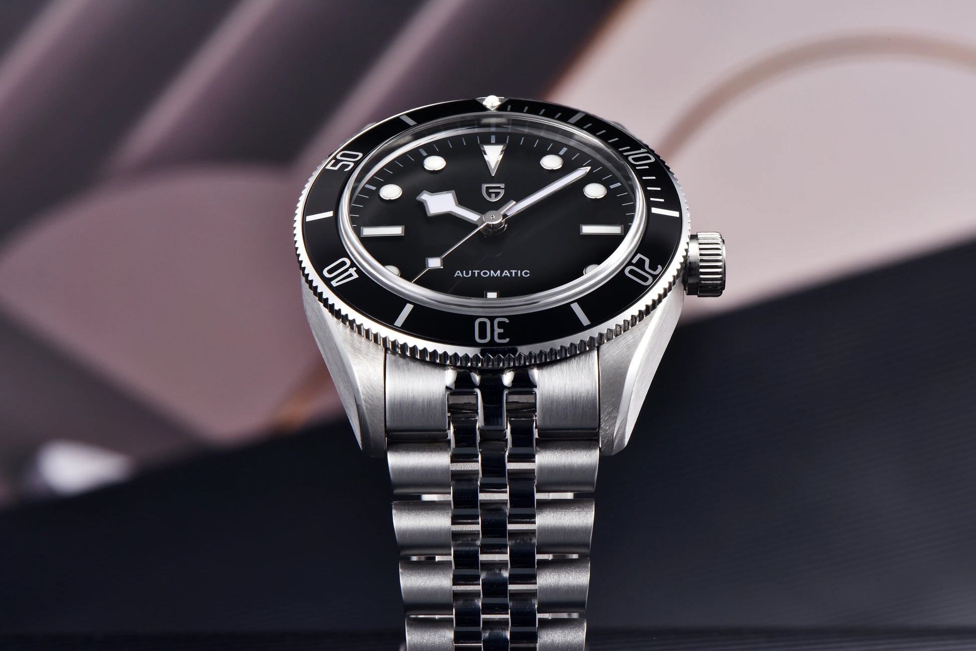 PAGANI DESIGN PD1671 Mechanical Diver Watch