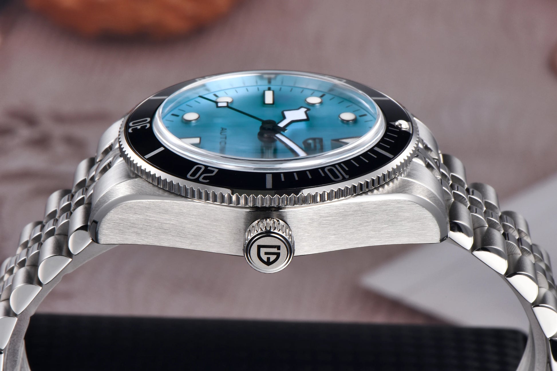 PAGANI DESIGN PD1671 Mechanical Diver Watch