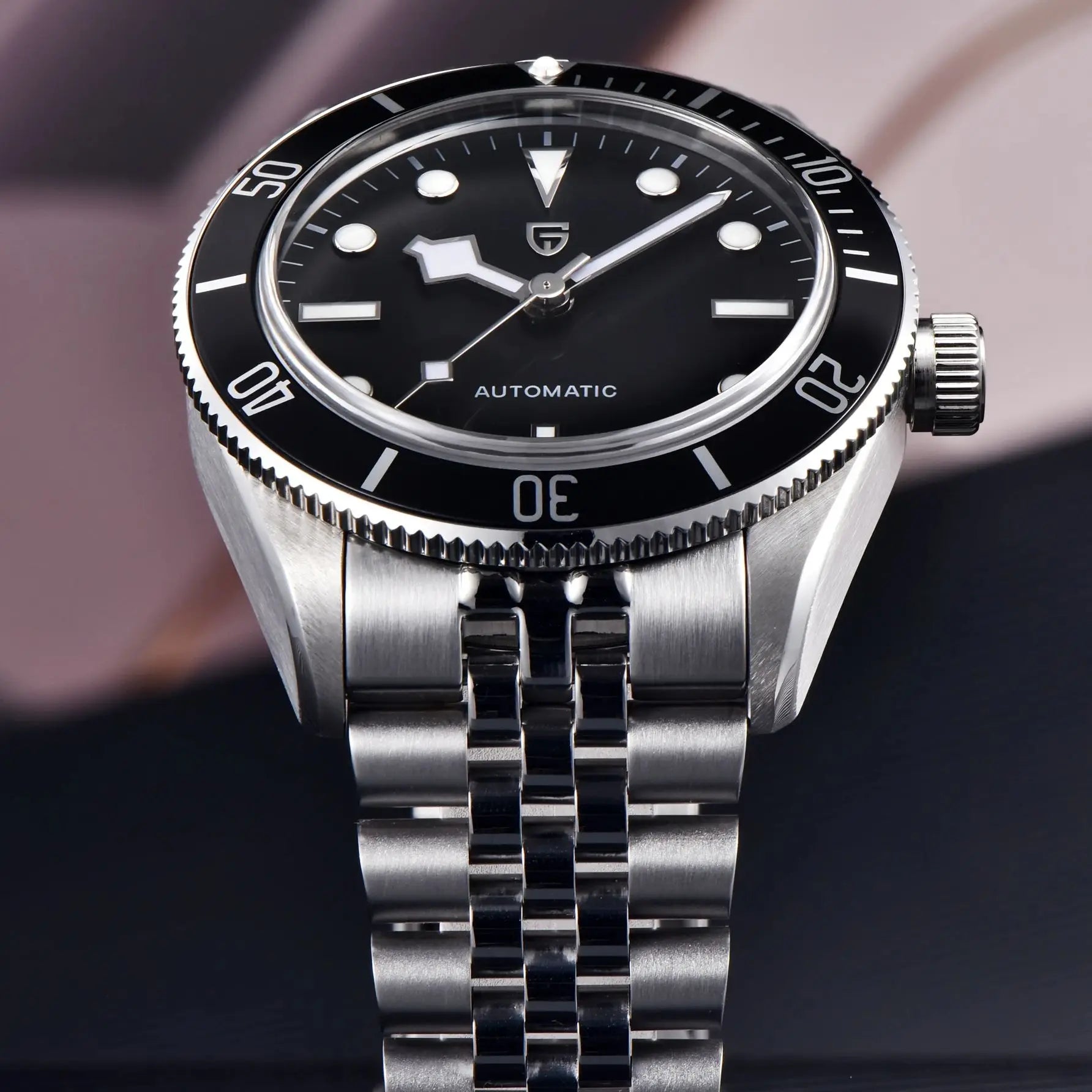 PAGANI DESIGN PD1671 Mechanical Diver Watch