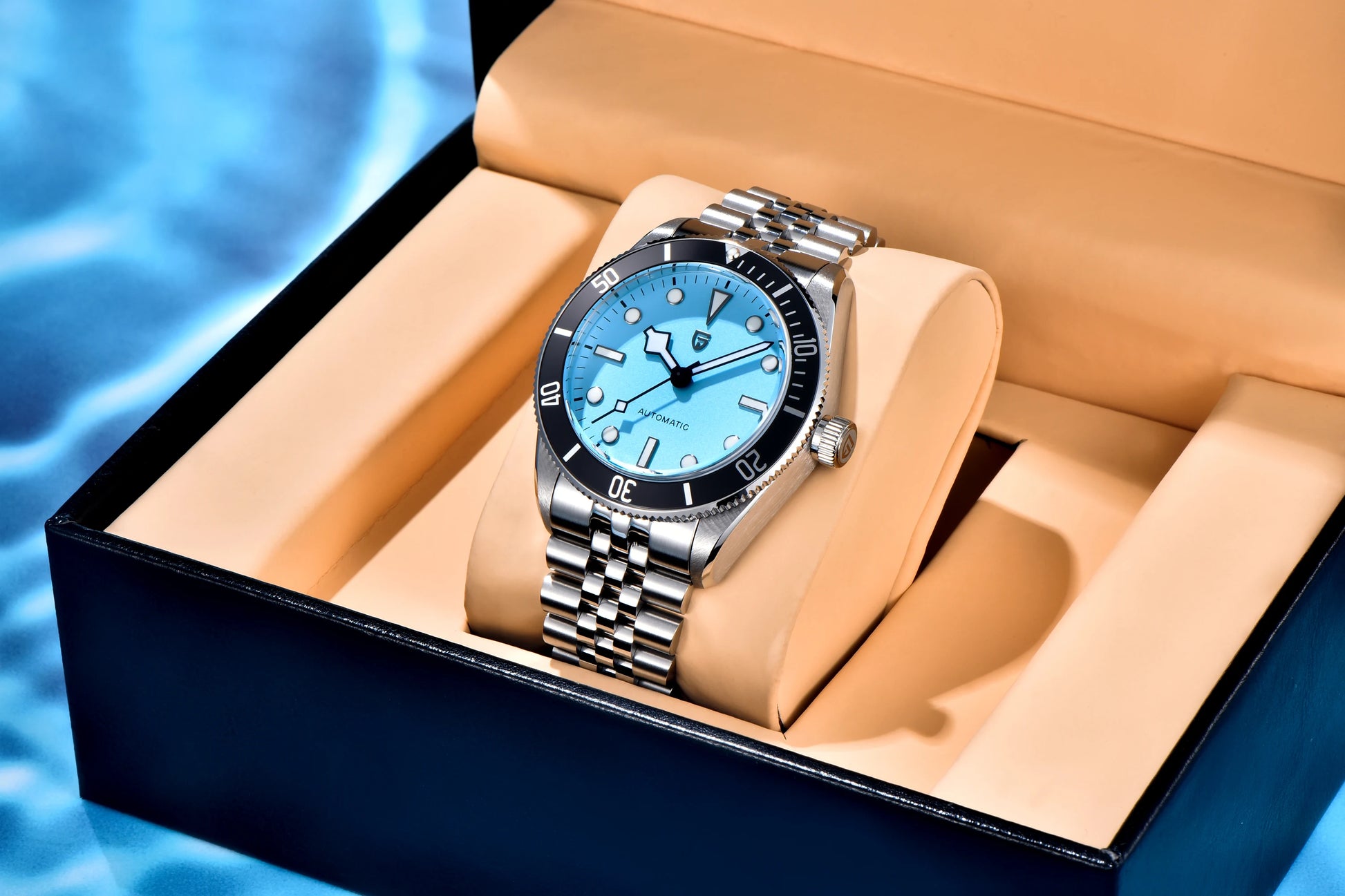 PAGANI DESIGN PD1671 Mechanical Diver Watch