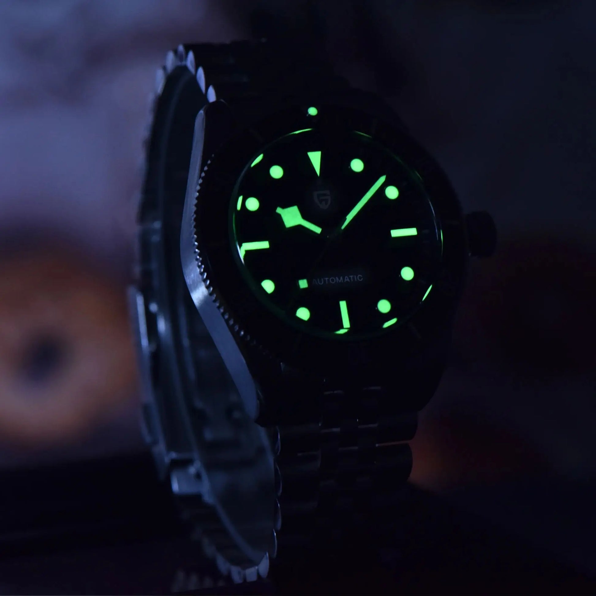 PAGANI DESIGN PD1671 Mechanical Diver Watch