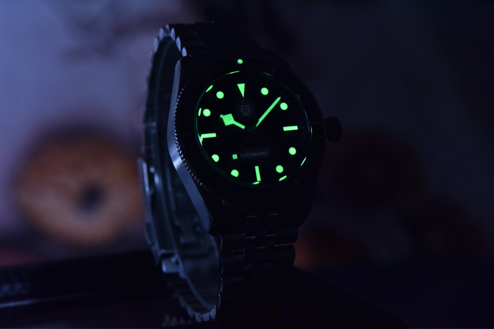 PAGANI DESIGN PD1671 Mechanical Diver Watch