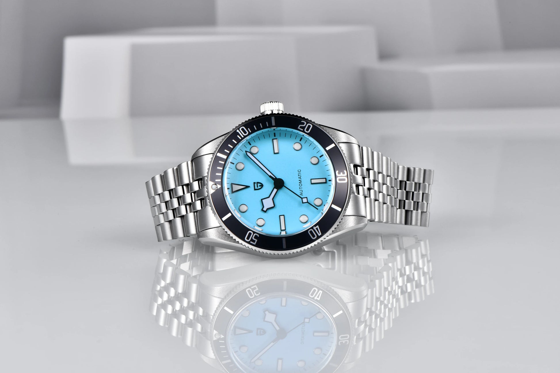 PAGANI DESIGN PD1671 Mechanical Diver Watch